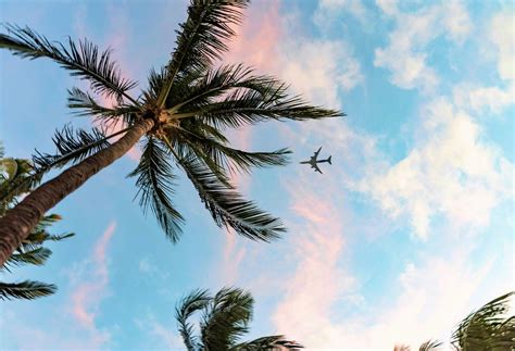 kayak fly anywhere|How to find cheap flights to anywhere with Explore .